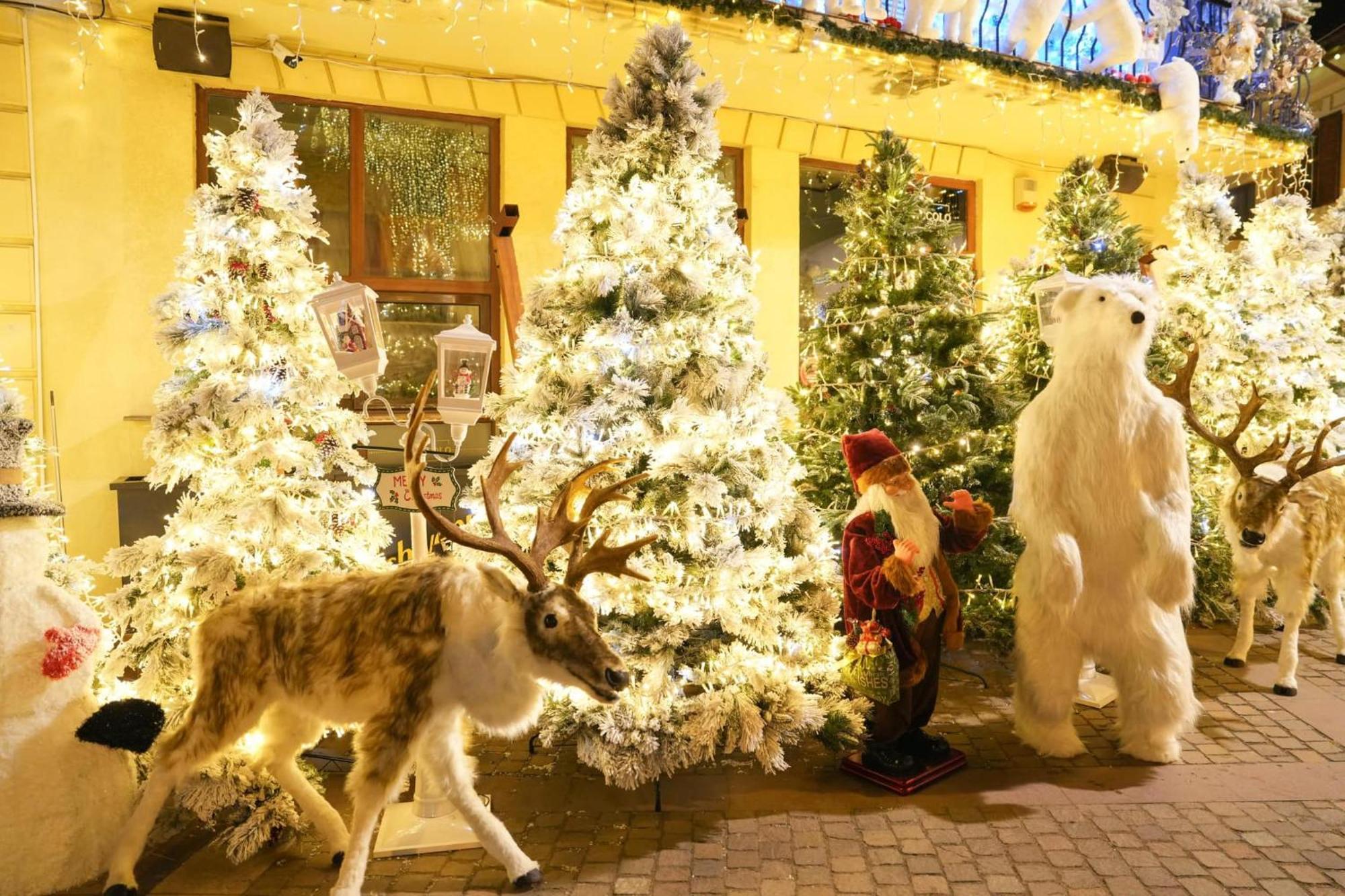 Craiova - Cazare Exteriör bild